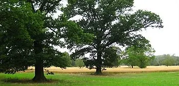 Apple Tree Cottages Saltmarshe Hotel
